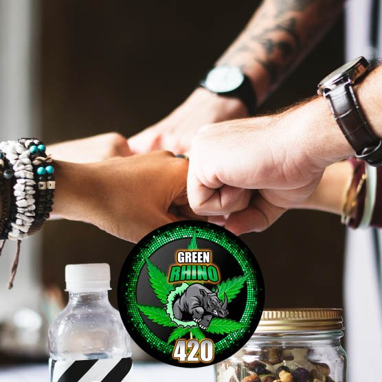 csc en palma de mallorca - green rhino 420